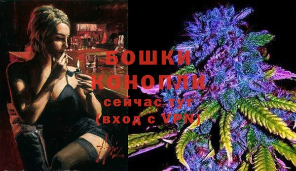 ешки Заводоуковск